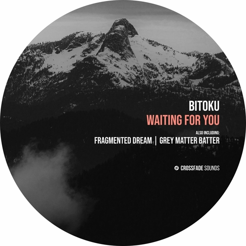 Bitoku - Waiting for You [CS148]